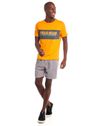 012203130018_062_3-PW-SHORT-MASC-SPORT-NICKEL