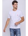 04072877_001_1-PW-CAMISETA-GOLA-CARECA-E-MANGA-CURTA