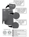 012008180006_499_2-PW-KIT-C-10-CUECAS-BOX-MICROFIBRA-LISA