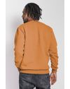 10090701_022_2-PW-BLUSA-MASCULINA-MOLETOM-GC