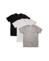 04073115_499_2-PW-KIT-3-CMSETA-BSC-GC-1-PT-1-BR-1-MSC-M