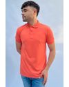17074145_024_1-PW-POLO-PIQUE-BOTAO