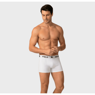 Cueca Boxer Polo Wear Basic Microfibra